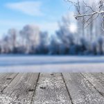 wood dock on winter landscape