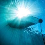 boat chain anchor from underwater with sun rays